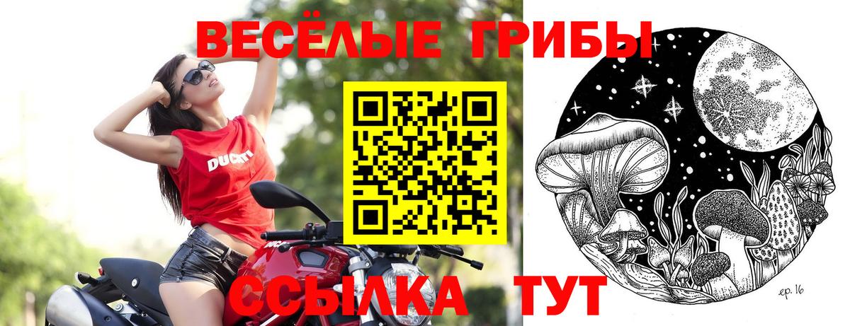 Лсд 25  Вход с VPN  МЕФ   Коммунар  Канабис  ГАШИШ  КОКАИН  NBOMe 