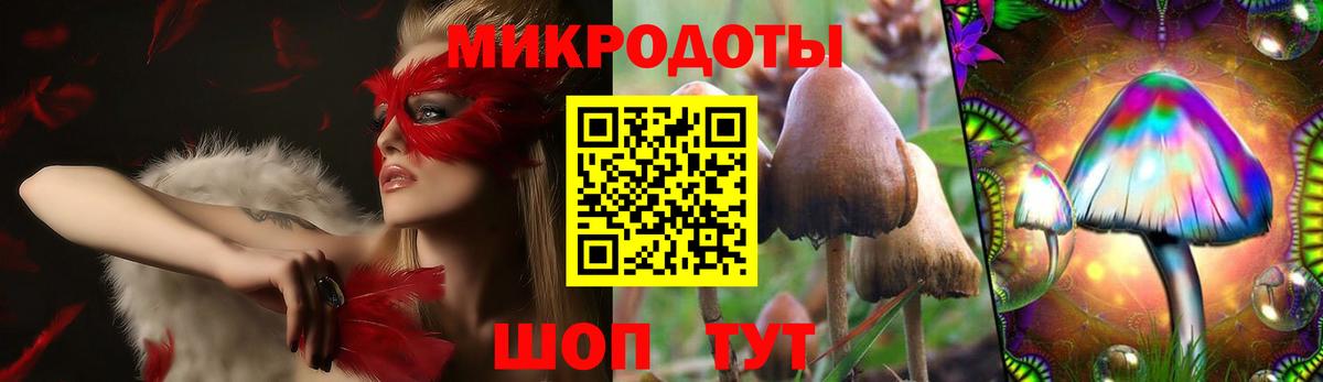 Псилоцибиновые грибы мухоморы  Галлюциногенные грибы Psilocybe  Вход с VPN  Коммунар 