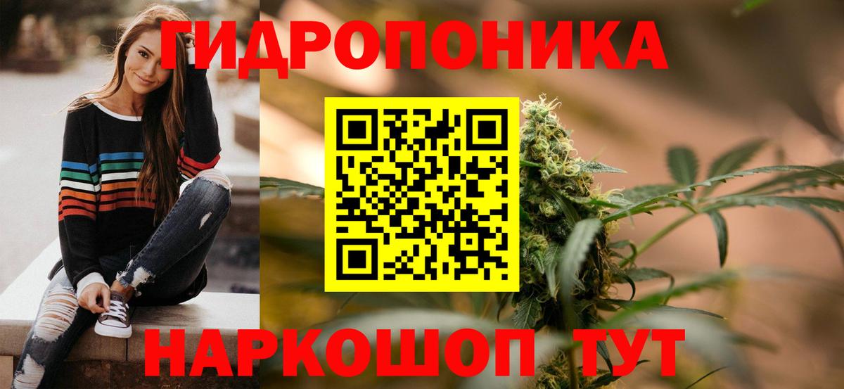 Бошки Шишки сатива Коммунар